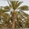 jamieinlaquinta